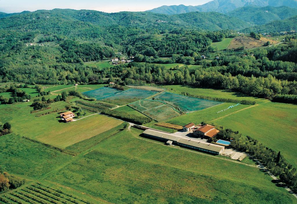 Agriturismo La Praduscella Фивиццано Экстерьер фото
